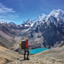 낭만물고기 이미지