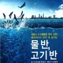 비메이저 이미지