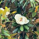 예향계절한정식 | 요즘 나주에서 가장 분위기 좋은 곳, 예향한정식 정원 후기