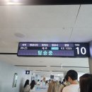 대가족 제주여행 시작! 대한항공 타고 출발~ 스타리아 11인승 렌트카 2박 3일 여름 가족여행 전 일정 공유
