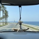 피쉬스토어 | [액막이 추천제품] “럭인피쉬 액막이 명태_복태금태랑” 차량 룸리러걸이용 구매 솔직 후기!