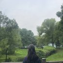 카페리노 - 수원시 영통구 광교호수공원로 20 | 카페리노