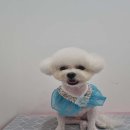 화멍화멍 이미지