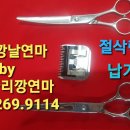 가위숲 이미지