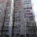 가리내로 이미지