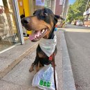 멍빵댕빵 이미지