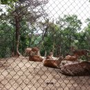 재천농장 이미지