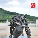 청도소싸움경기장 이미지