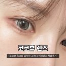 실비아 | 코코뷰 축고정 실비아 그레이 픽싱렌즈 아이돌렌즈 착용후기
