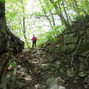 구룡령 옛길 이미지