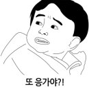 라포렛