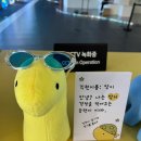 DDP | DDP 어른이보호구역 후기 서울 무료 전시 팝업스토어