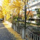 송내대로30번길 이미지