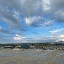 (주)팀내쇼날 | [필리핀_3박 5일 보홀 여행] 보홀 태교 여행 2일차 - 호핑 투어(돌고래,거북이)/라모이(LAMOY) 레스토랑...