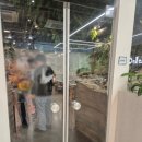 헬로우쥬 카페 이미지