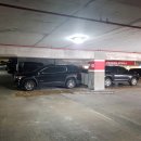 코끼리카프라자 이미지