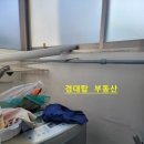 경북대학교 농대4호관 이미지