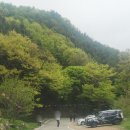 만의사 | 화성 가볼만한곳 무봉산 등산코스 만의사 산책 (25. 4.26 방문)