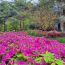 부부합동공인중개사사무소 이미지