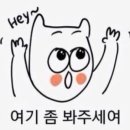 비니프 이미지