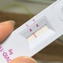 해제보건지소 | [오늘일기] 정왕보건지소 선별진료소 PCR 검사 후기 :: 위치 준비물 대기시간/ pcr을 하게 되다니 (ft...