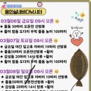 용인실내바다낚시터 | 용인실내 바다 낚시터 다금바리가 나온다는 찐 낚시터를 다녀온 후기