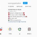 쏭쓰펫살롱 이미지