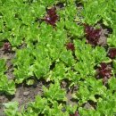 재놀스배어린이집 이미지