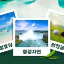 테라여행사