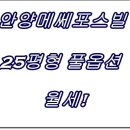 메쎄포스빌 이미지
