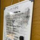 은빛물결황금낙지