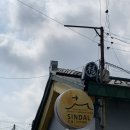 고양이 3마리가 있는 경주 한옥 숙소 &#39;신달하우스&#39; 내돈내산 추천 후기