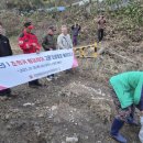 황금장어구이 이미지