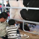 배울목장 이미지