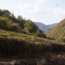 마조리 마을회관 이미지