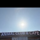 애니멀클럽 이미지
