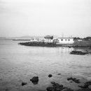 오조리-5 이미지