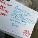 세연환경 | 즐놀하는 8월 일상 (평가 끗/ 리락스토어 홍대/ 개비스 코타지/ 대전/ 세연이집)