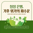 탄소중립전략연구원 | [은평학습링크] "청정 은평, 기후 위기의 파수꾼" 종강후기