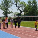 무릉초등학교 이미지