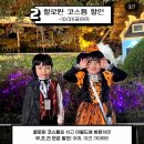 한솥도시락(구덕운동장점) | 대구 이월드 할로윈: 야간방문 놀거리,볼거리,탈거리