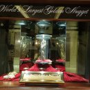 2019-주119 이미지