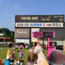 무프스 이미지