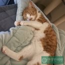 인영한의원 이미지