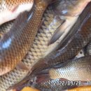 청도천3 이미지