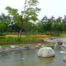 한밭수목원 이미지