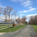 진일목장 이미지