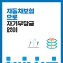 백향목경희한의원 이미지