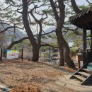 휴양림길 이미지