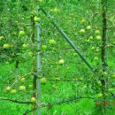 건이네 농장 이미지